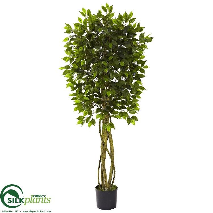 Silk Plants Direct Ficus Pack of 1
