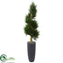 Silk Plants Direct Spiral Cypress Artificial Tree - Pack of 1