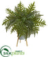 Silk Plants Direct Hares Foot Fern Artificial Plant in Green Planter with Stand - Pack of 1
