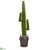 Silk Plants Direct Cactus Artificial Plant - Pack of 1