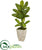 Silk Plants Direct Dieffenbachia Artificial Plant in Stone Washed Planter - Pack of 1