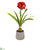 Silk Plants Direct Amaryllis Artificial Plant - Pack of 1