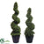 Outdoor Boxwood Spiral Topiary - Green - Pack of 1 - 3' Shown on Right