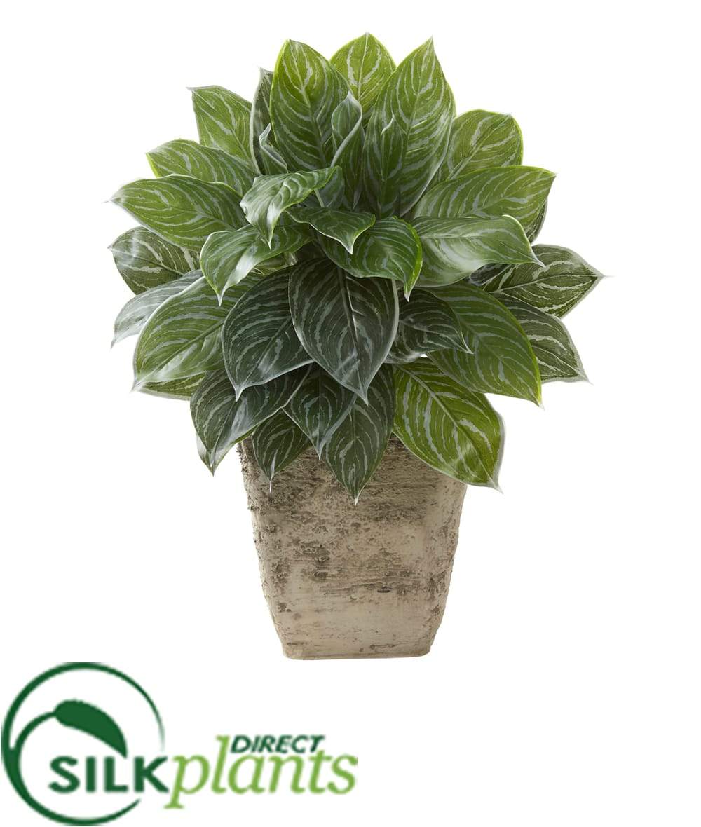 aglaonema arrangement Silk Plants Direct Silver Aglaonema Artificial Plant in Country White