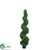 Outdoor Basil Spiral Topiary Tree - Green - Pack of 2