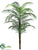 Areca Palm Tree - Green - Pack of 2