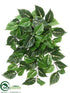 Silk Plants Direct Coleus Bush - Green Cream - Pack of 6