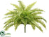 Silk Plants Direct Boston Fern Bush - Green Light - Pack of 4
