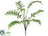 Silk Plants Direct Hawaiian Fern Bush - Green - Pack of 12