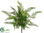 Leather Fern Bush - Green - Pack of 12