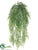 Maidenhair Fern Hanging Bush - Green - Pack of 12