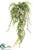 Button Fern, Berry Hanging Bush - Green - Pack of 24
