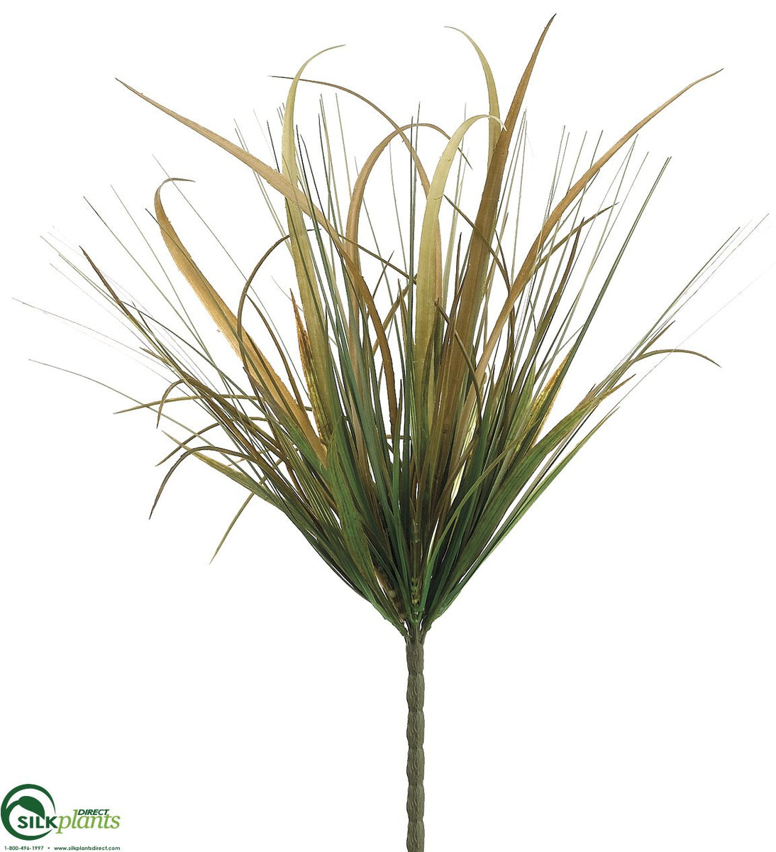 Onion Grass Bush Green Brown Pack of 12 (CRB/RG570GBPS