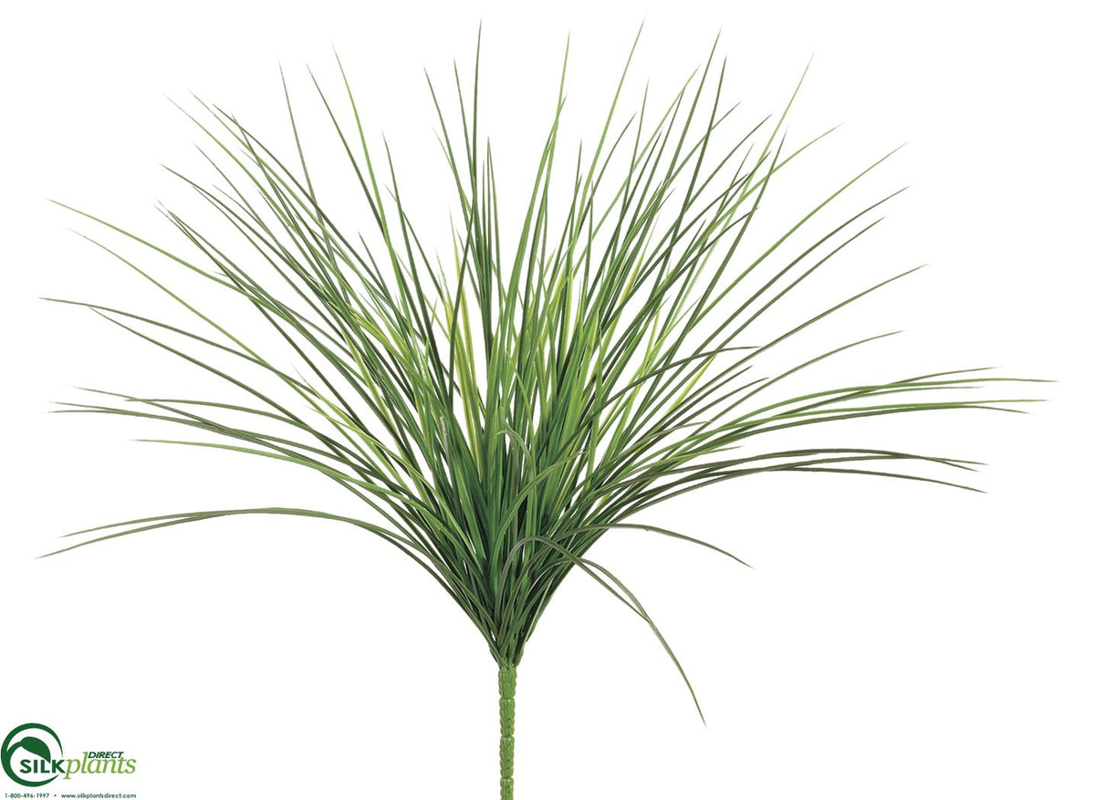 Onion Grass Bush Burgundy Pack of 12 (CUB031GBPS