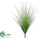 Onion Grass Bush - Green - Pack of 12