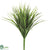 Vanilla Grass Bush - Green Green - Pack of 24