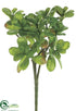 Silk Plants Direct Jade Plant Bush - Green - Pack of 12