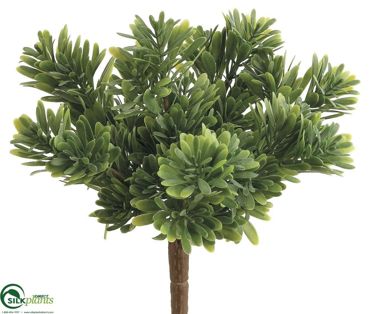 Succulent Grass Bush Green Frosted Pack of 24 (CSF/RG788GBPS