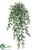 Large Ruscus Hanging Bush - Green Two Tone - Pack of 6