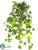 Silk Plants Direct Ivy Bush - Green - Pack of 6