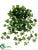 Mini Ivy Bush - Green - Pack of 12