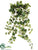 Mini Grape Leaf Hanging Bush - Green - Pack of 12