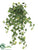Lace Ivy Hanging Bush - Green - Pack of 6
