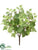 English Ivy Bush - Green Two Tone - Pack of 12