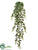 English Ivy Hanging Bush - Green - Pack of 4