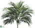 Silk Plants Direct Parlour Palm Plant - Green - Pack of 6