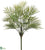 Parlour Palm Plant - Green - Pack of 12