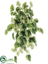 Silk Plants Direct Pothos Hanging Vine Plant - Green Variegated - Pack of 6