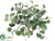 Silver Falls Leaf Bush - Green - Pack of 12