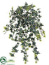 Silk Plants Direct Needlepoint Ivy Hanging Bush - Variegated - Pack of 12