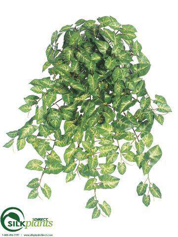syngonium hanging plant Silk Plants Direct Syngonium Hanging Bush - Green