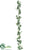 English Ivy Garland - Frosted - Pack of 12