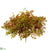 Faux Moss Pick Geen - Green Burgundy - Pack of 12