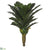 Bromeliad Leaf Plant - Green Two Tone - Pack of 4