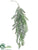 Pepper Tree Branch - Green Two Tone - Pack of 6