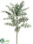 Dusty Miller Spray - Green Frosted - Pack of 12