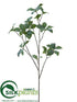 Silk Plants Direct Dogwood Leaf Spray - Green Gray - Pack of 12