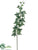 Ivy Leaf Spray - Variegated Green - Pack of 12