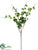 Ming Aralia Spray - Green Two Tone - Pack of 12