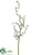 Curly Twig Branch - Green - Pack of 12