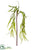 Willow Stem - Green - Pack of 72