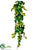 Potato Leaf Hanging Vine - Green Light - Pack of 12
