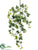 Silk Plants Direct Ivy Vine - Variegated - Pack of 6