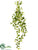 Silk Plants Direct Ivy Vine - Green - Pack of 2