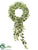 English Ivy Wreath - Variegated - Pack of 2