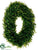 Tea Leaf Oval Wreath - Green - Pack of 2